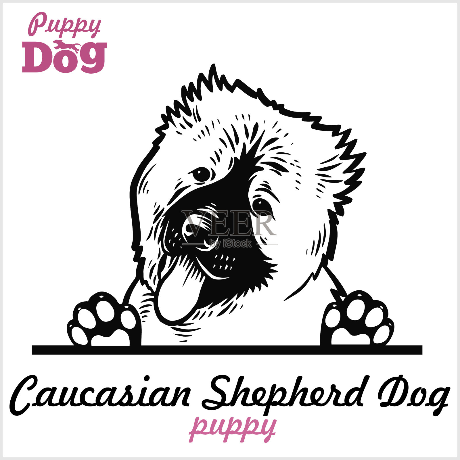 小高加索牧羊犬-窥犬插画图片素材