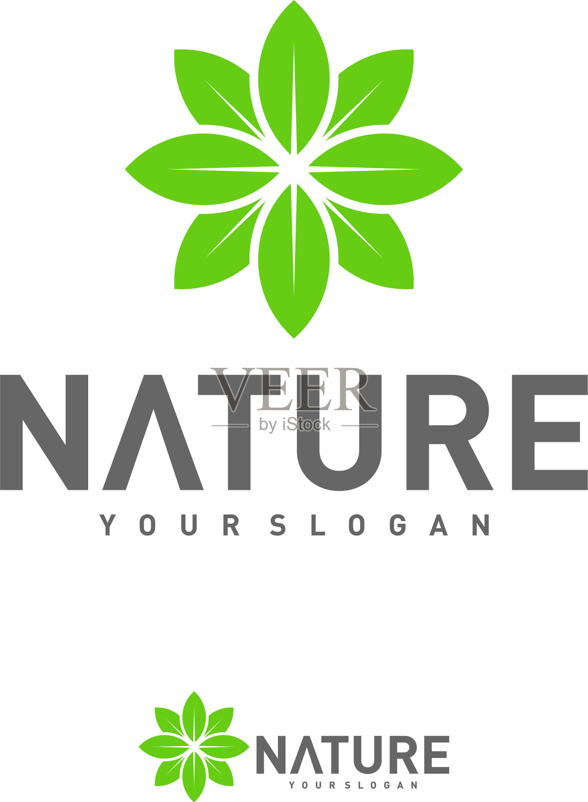 叶片标志设计模板自然标志设计插画图片素材