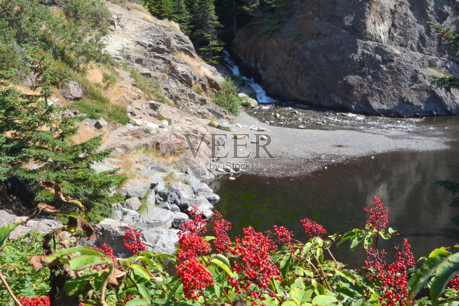 阿拉斯加荒原上的宁静照片摄影图片