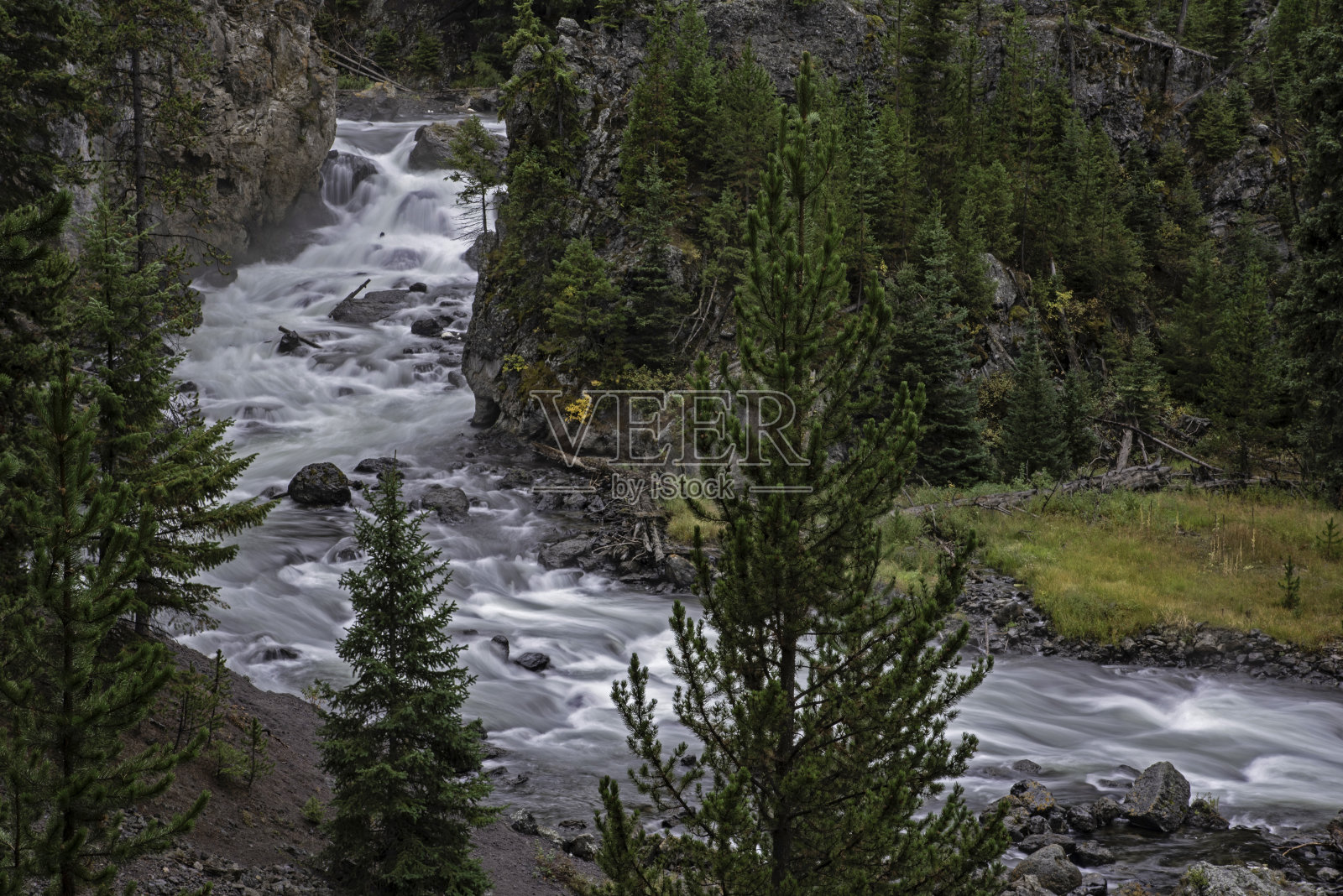 黄石国家公园的河流。照片摄影图片
