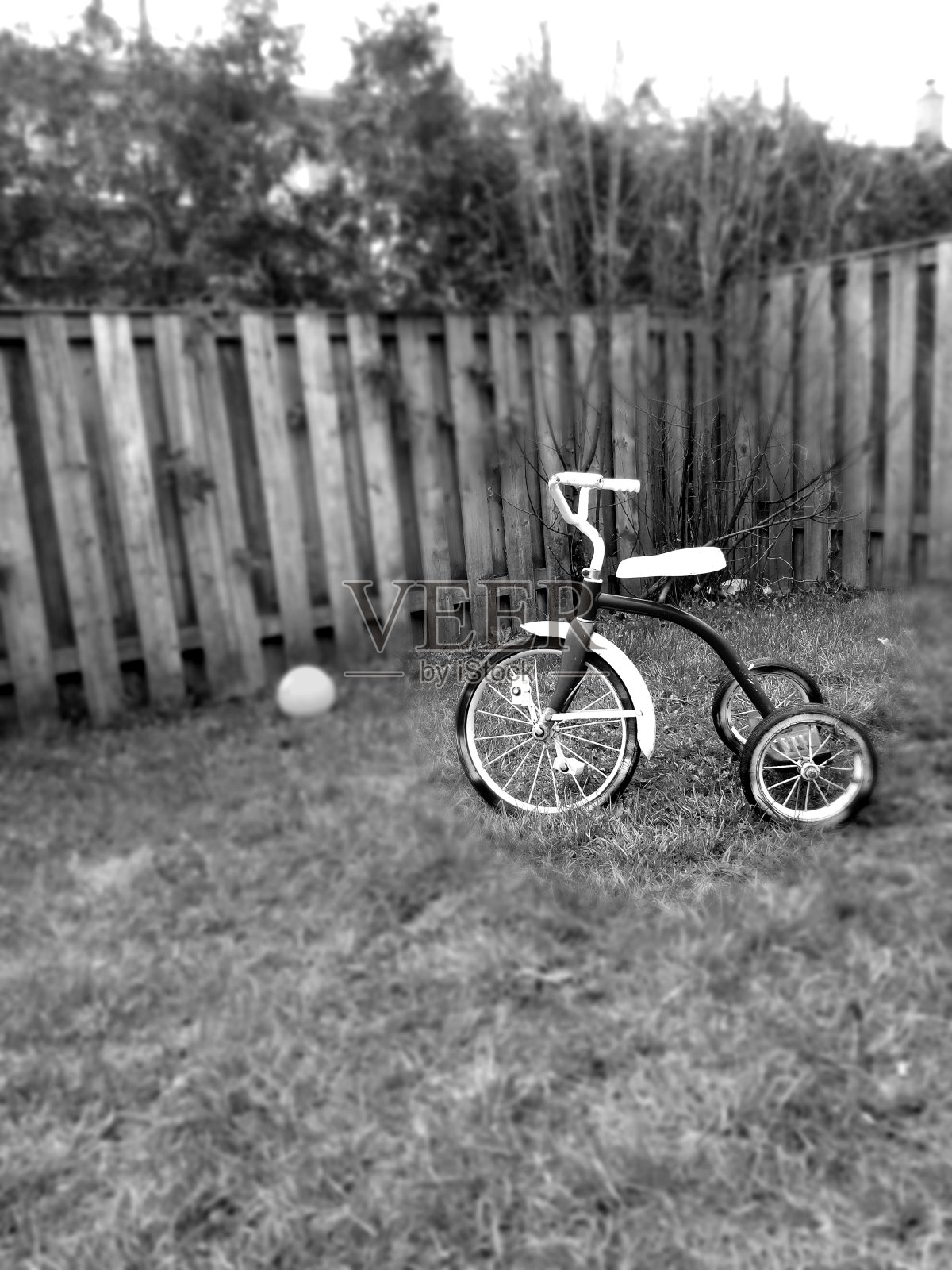 老式三轮车在院子里照片摄影图片