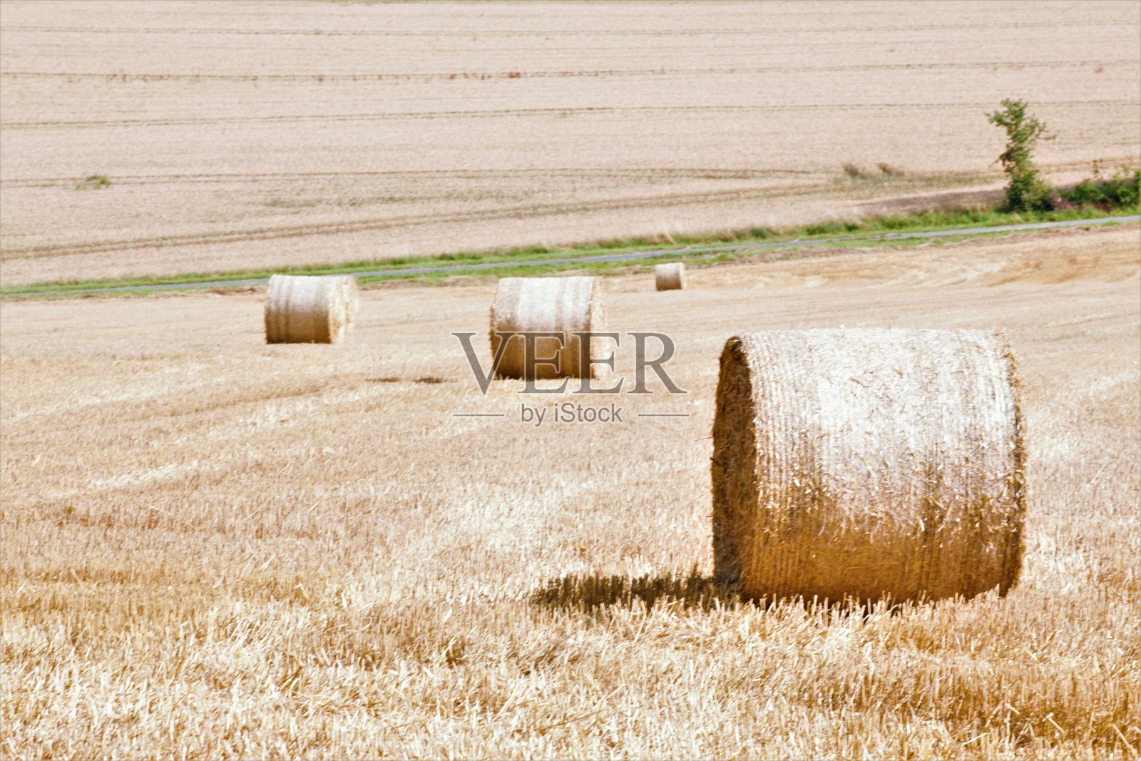 拖拉机在田间照片摄影图片