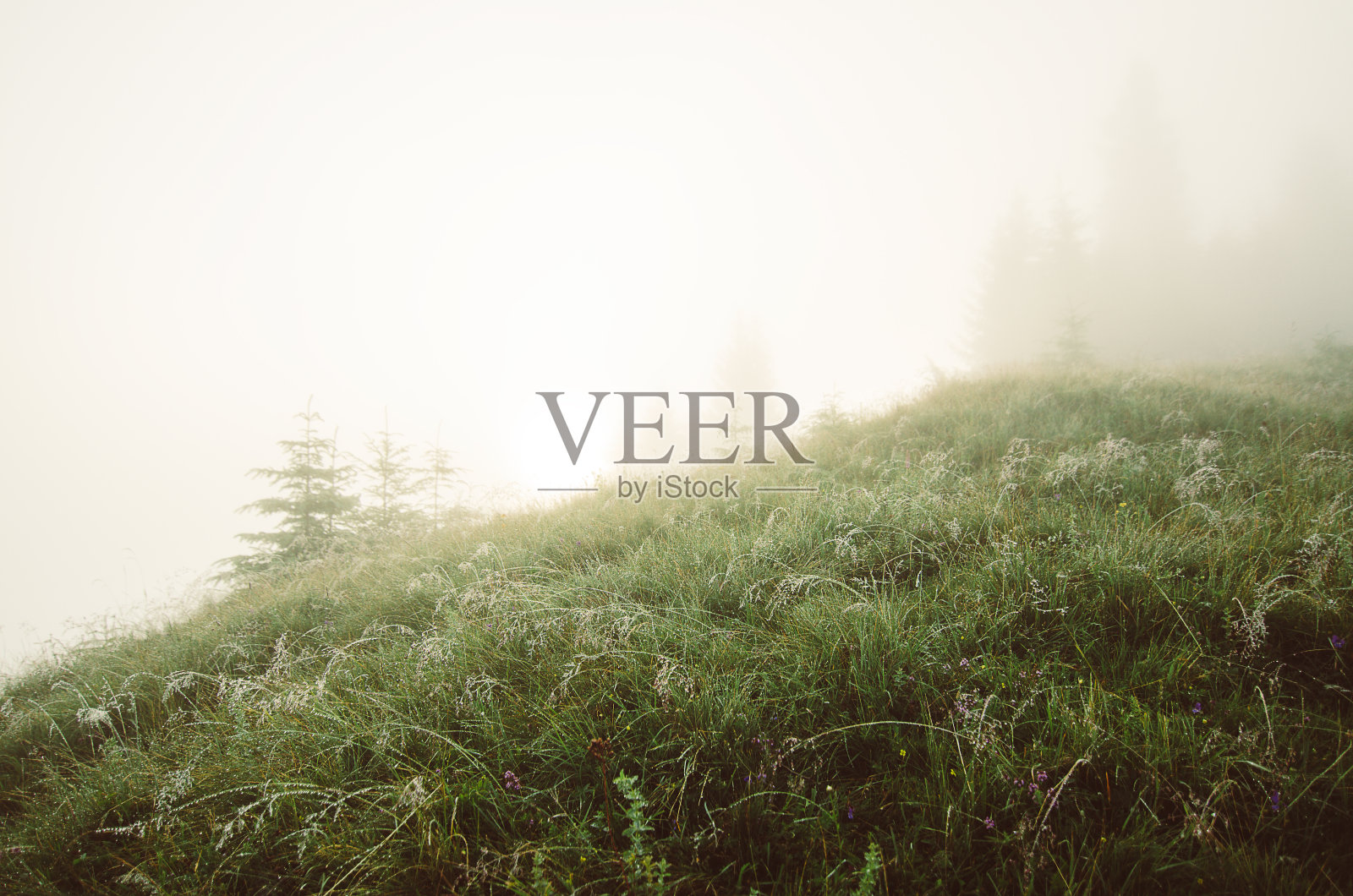 有雾的早晨的风景照片摄影图片