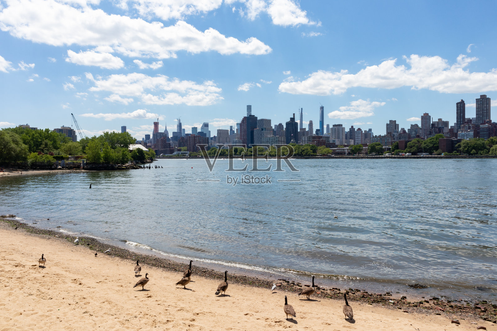 在纽约皇后区的阿斯托里亚海滩，在夏天可以看到罗斯福岛和曼哈顿天际线在纽约市照片摄影图片