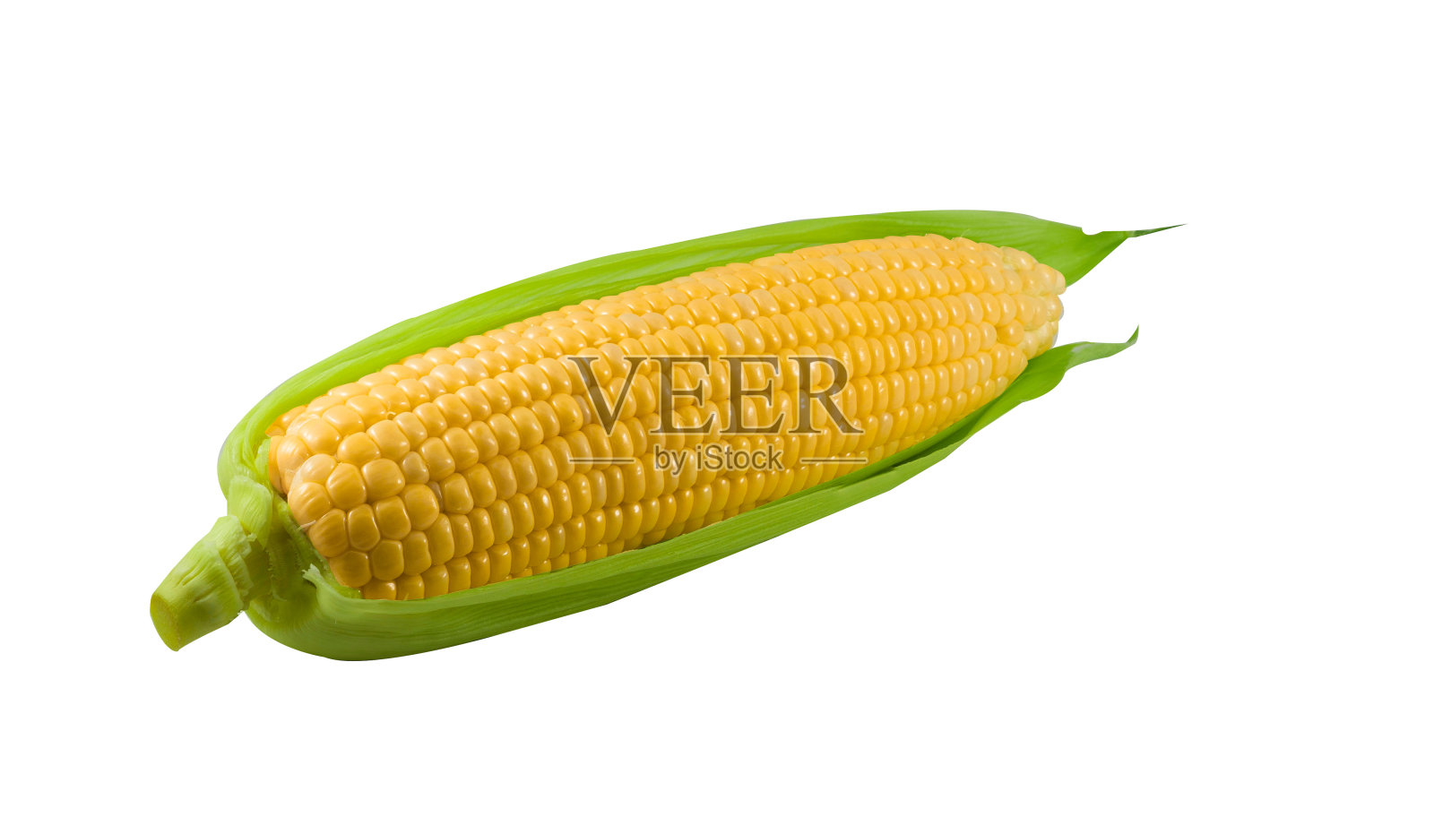 新鲜玉米与拷贝空间在白色孤立的背景。照片摄影图片