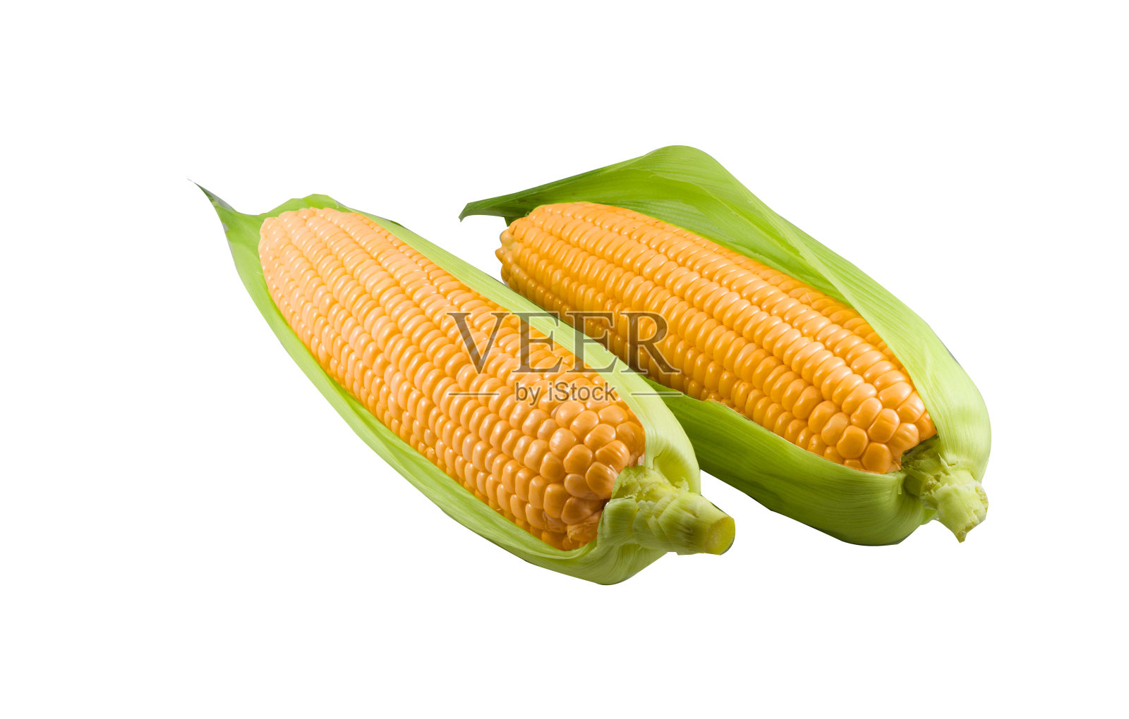 新鲜玉米与拷贝空间在白色孤立的背景。照片摄影图片