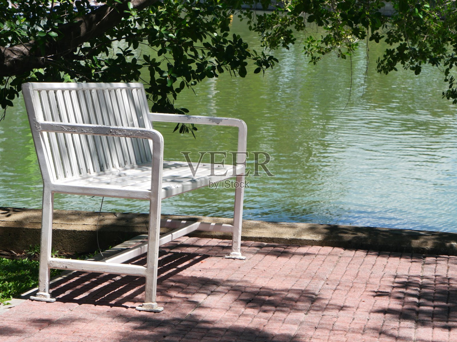 湖边绿树下的空座位长椅。照片摄影图片