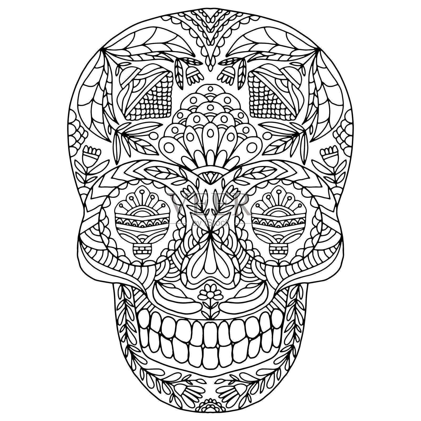 头盖骨上装饰着民间风格的花，以白色为背景，矢量，祭天插画图片素材