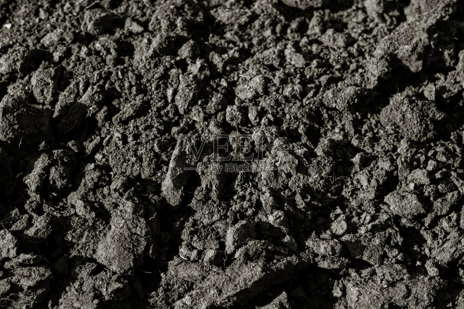 肥沃的黑土背景照片摄影图片