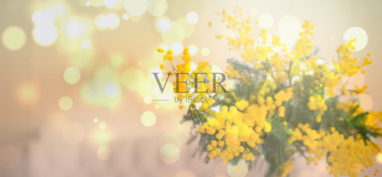 春天的背景用美丽的花朵，复制空间照片摄影图片