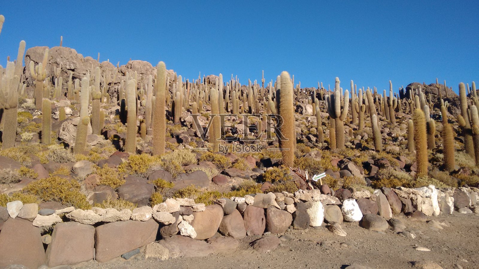 伊尔哈·印加瓦西 - 萨拉尔·德乌尤尼照片摄影图片