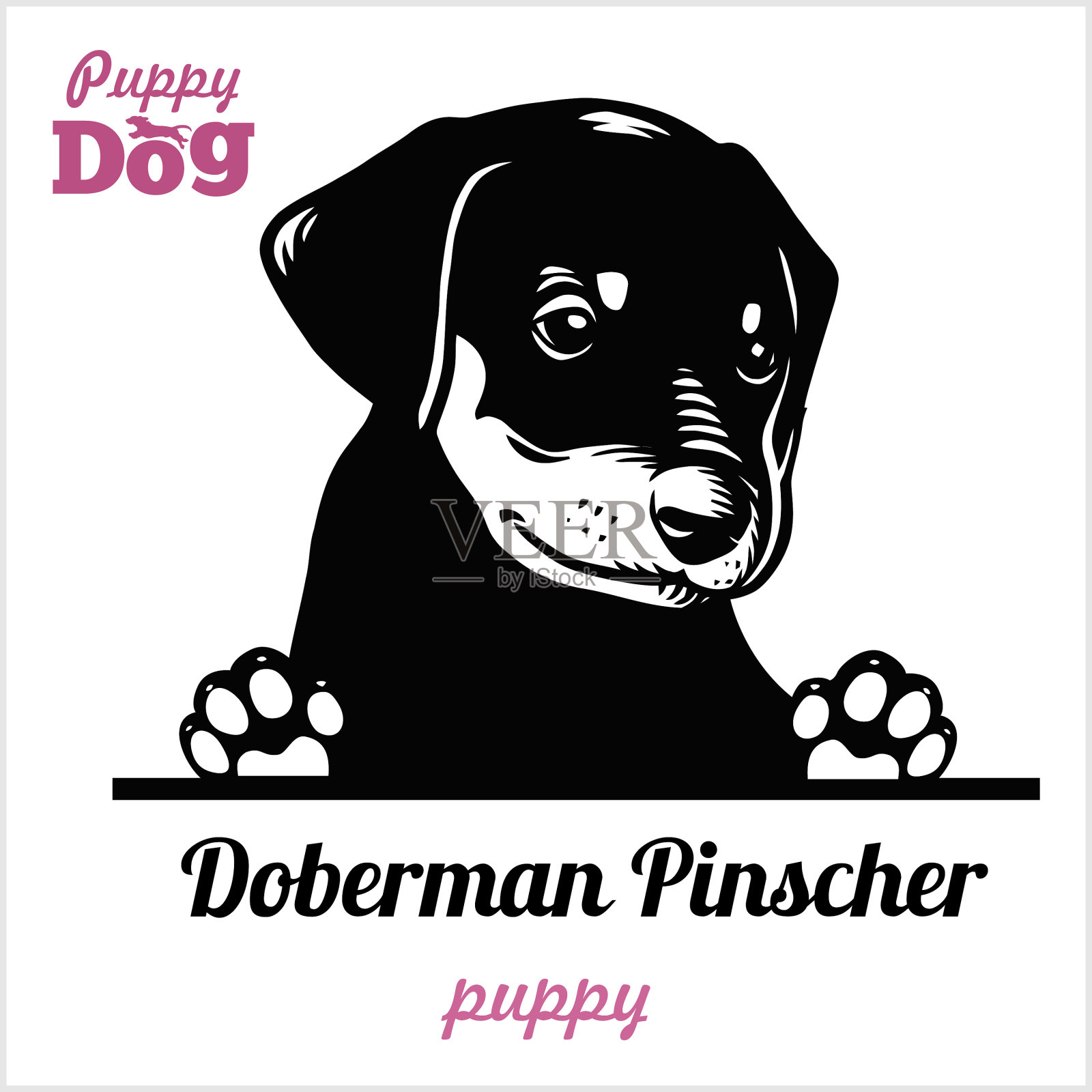 小杜宾犬-偷窥犬-品种插画图片素材