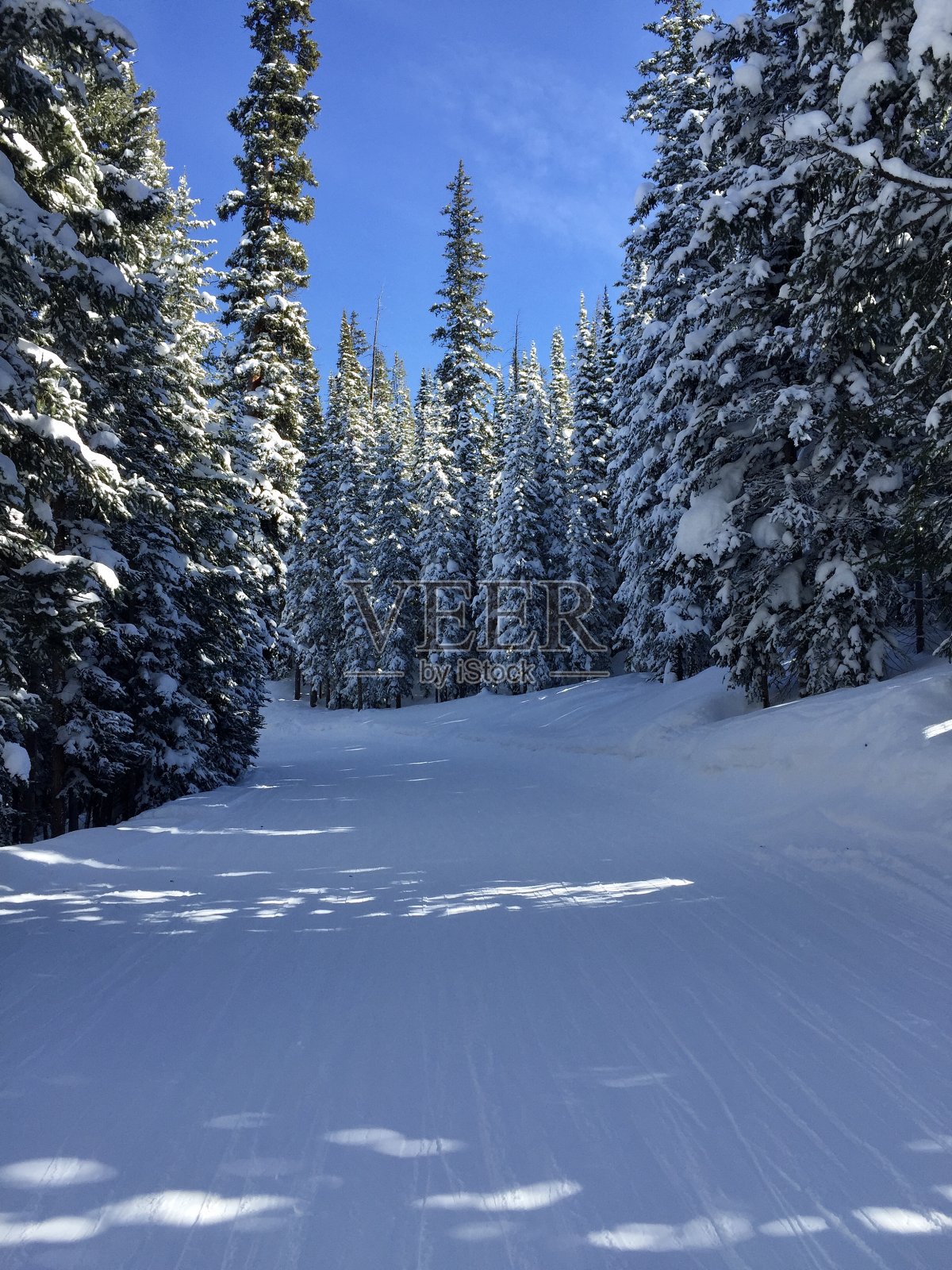 有树的滑雪道照片摄影图片