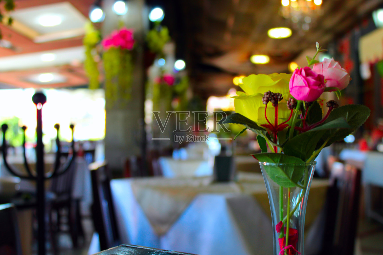 五颜六色的鲜花照片摄影图片