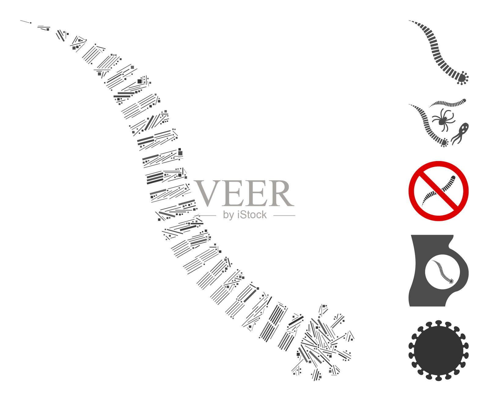 花叶寄生蠕虫插画图片素材