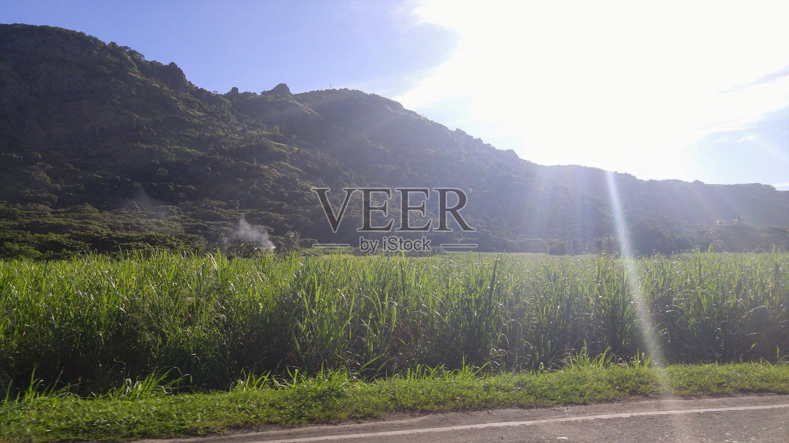 斐济照片摄影图片