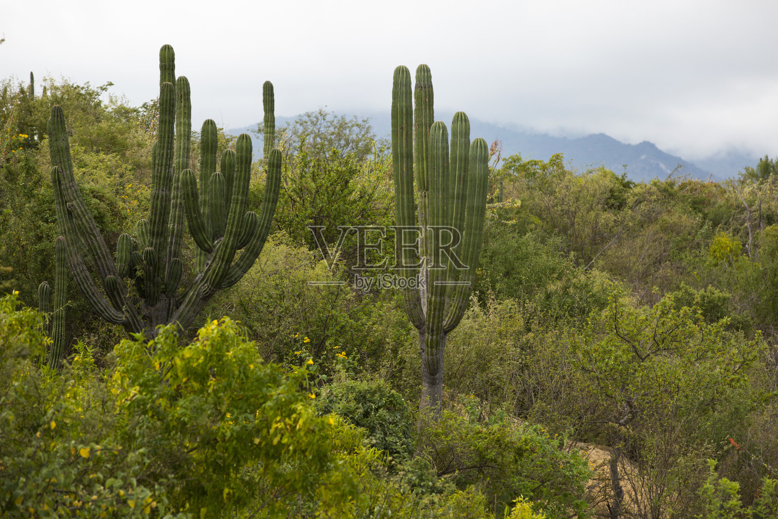 圣地亚哥， BCS 山脉照片摄影图片