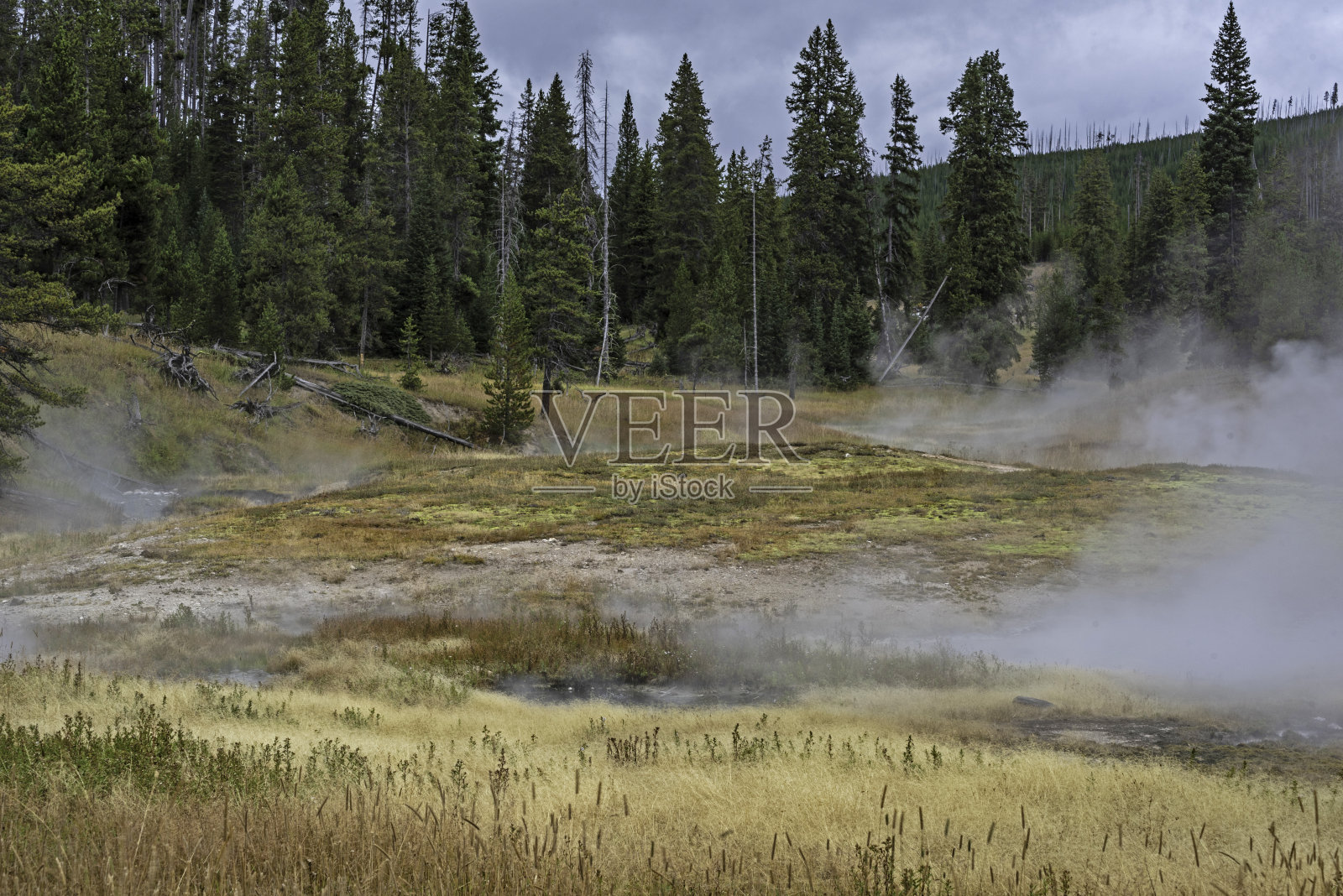 蒸汽漂浮在黄石国家公园的风景上。照片摄影图片