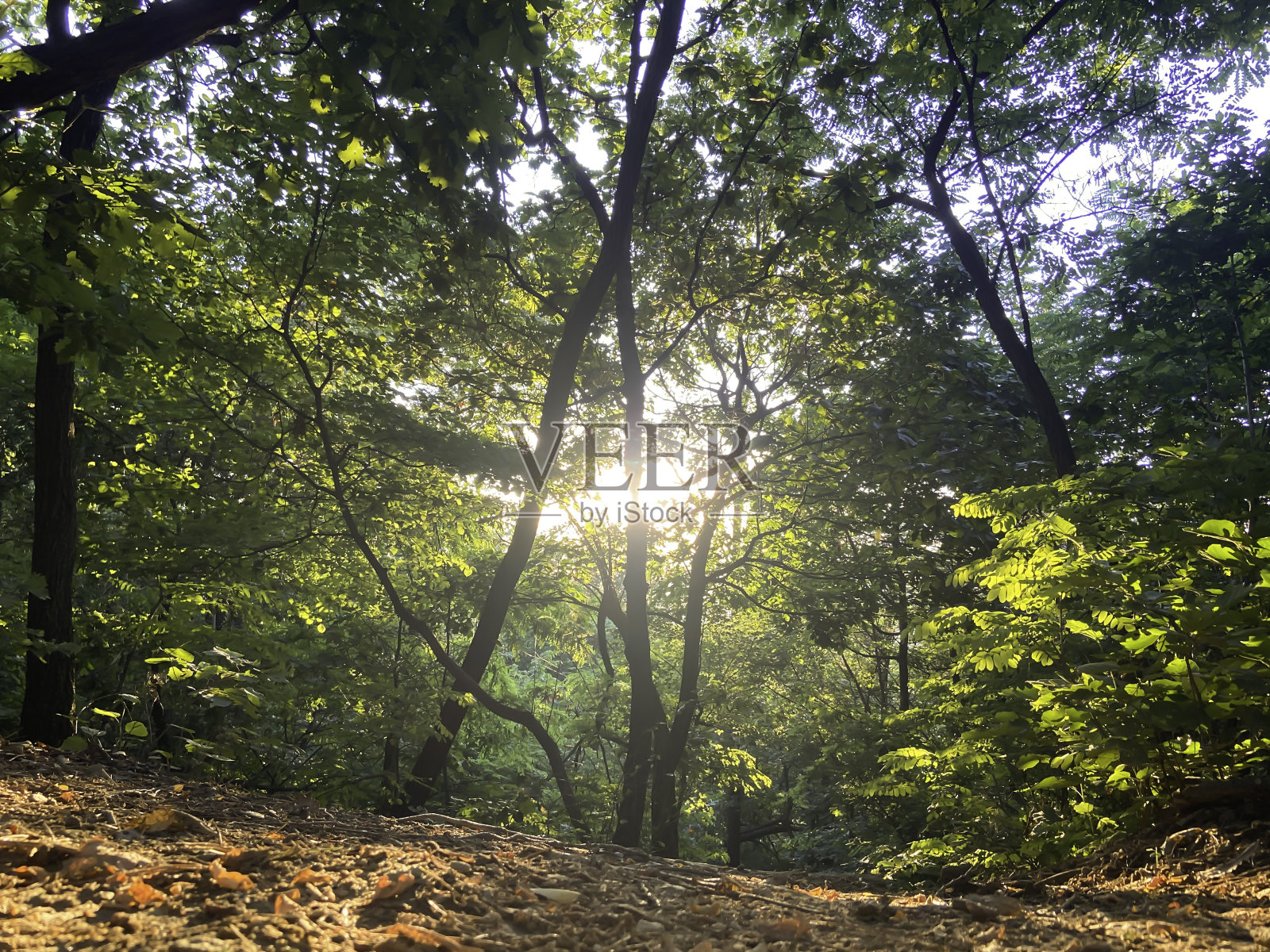 背光的风景在山上照片摄影图片