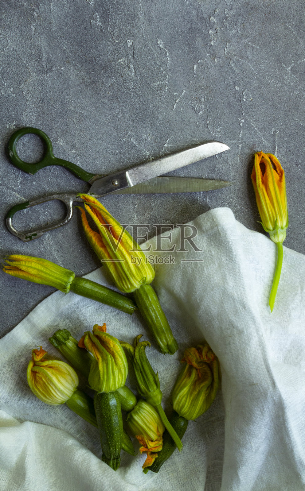 西葫芦花和剪刀。平铺，拷贝空间照片摄影图片