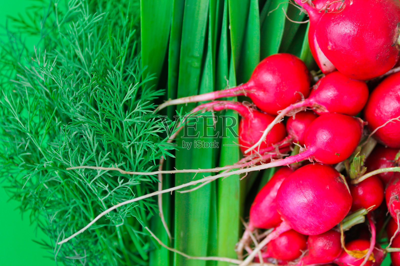 维生素板:萝卜，洋葱，小茴香，农业，收获照片摄影图片