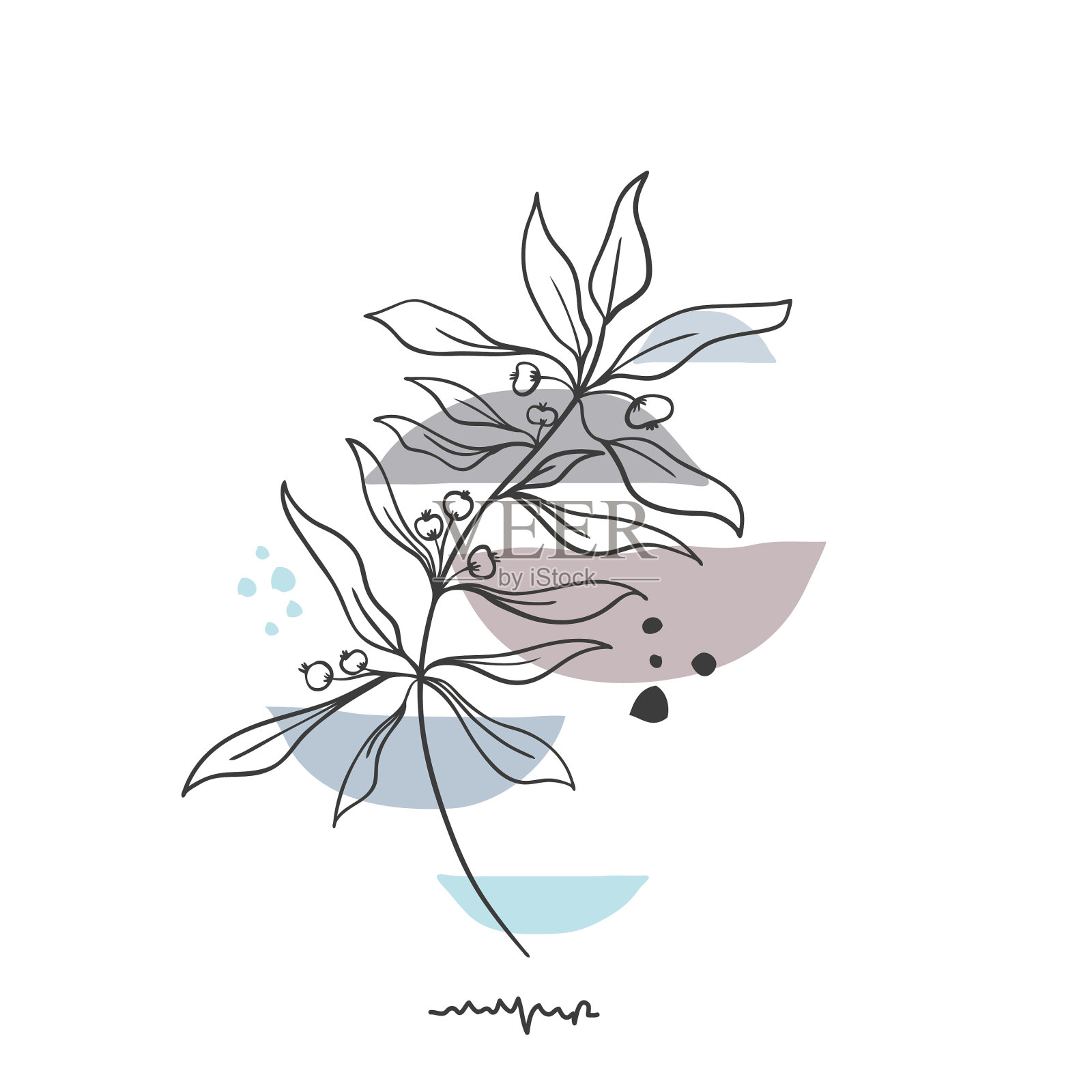 手绘抽象花卉背景孤立上设计元素图片