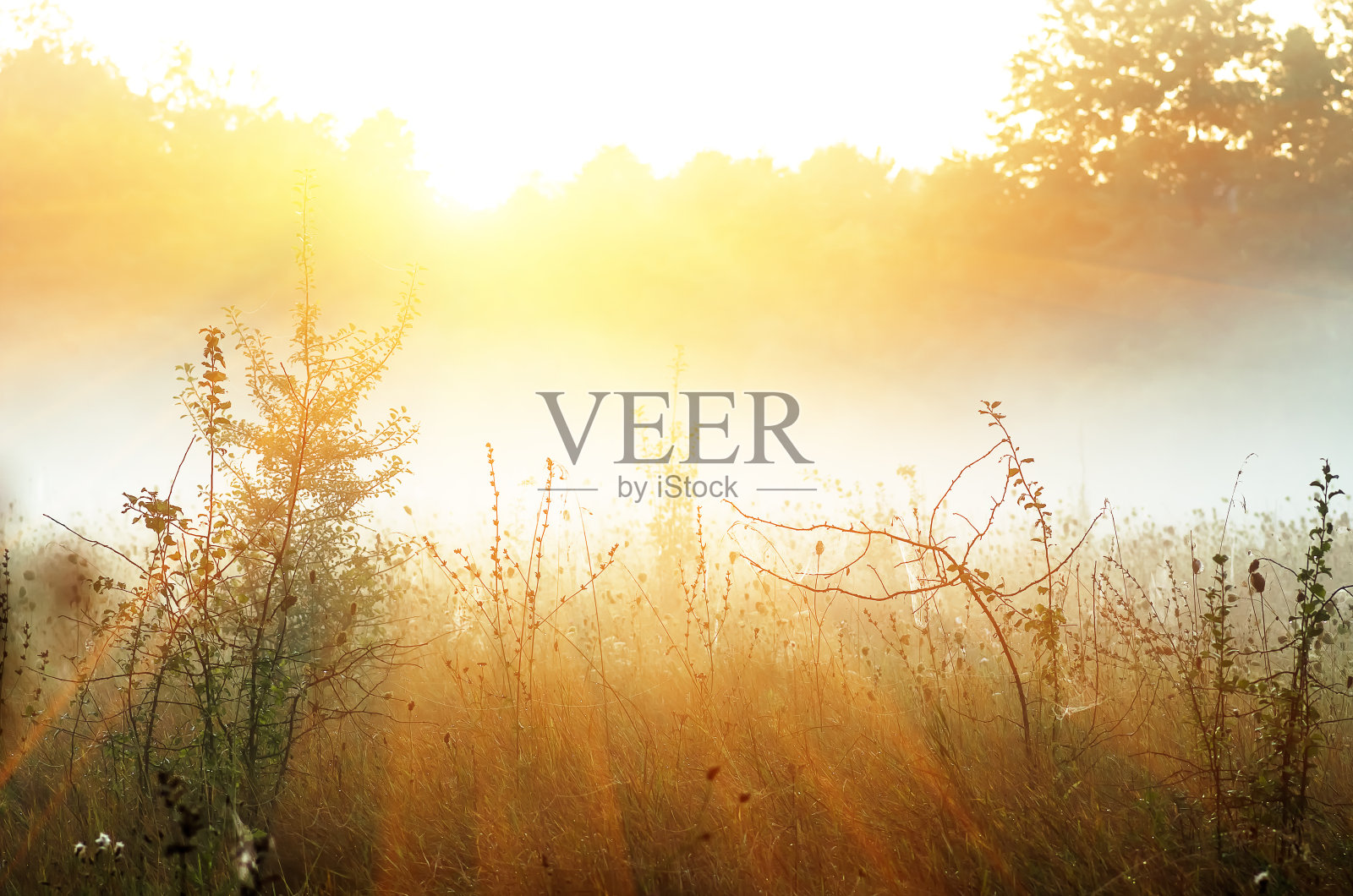 秋天雾蒙蒙的日出景观。干草,雾照片摄影图片