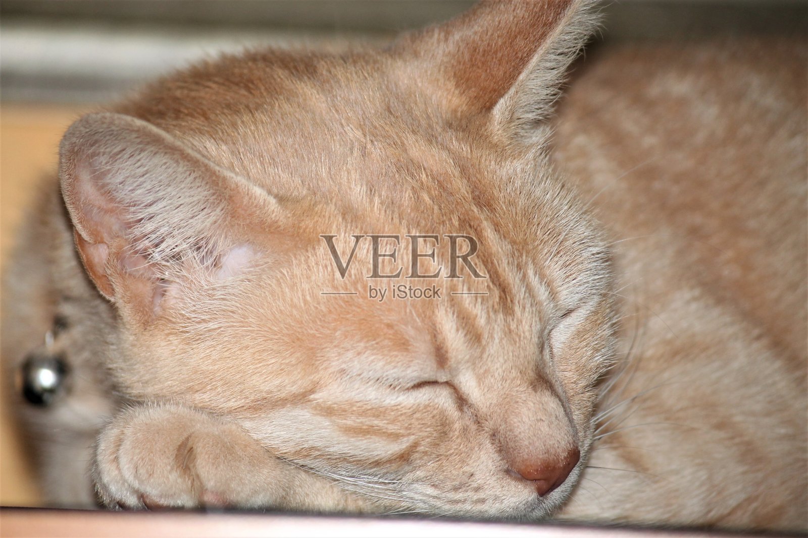 闲谈，聊天照片摄影图片