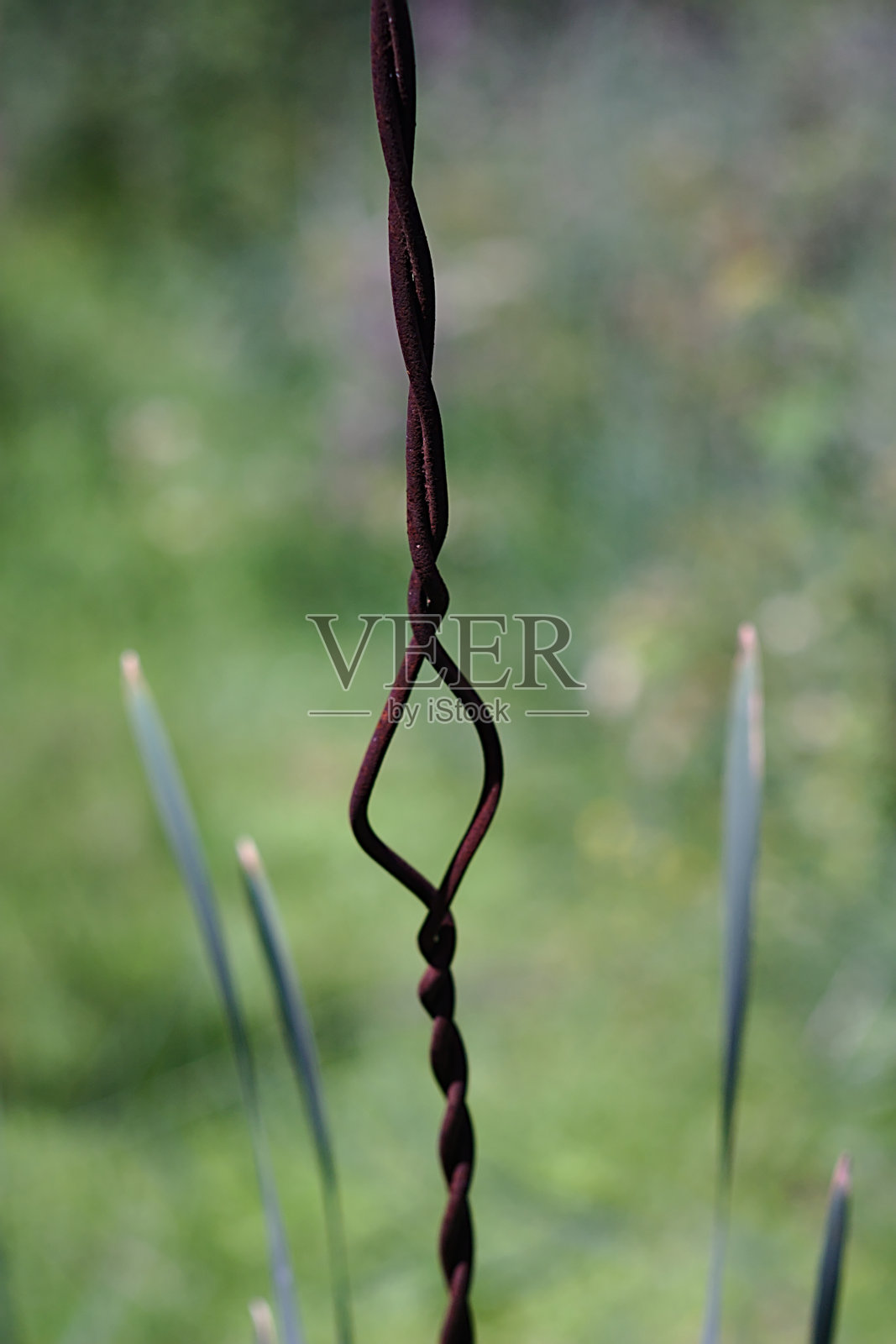 扭曲生锈的铁丝在夏日绿树的背景下照片摄影图片