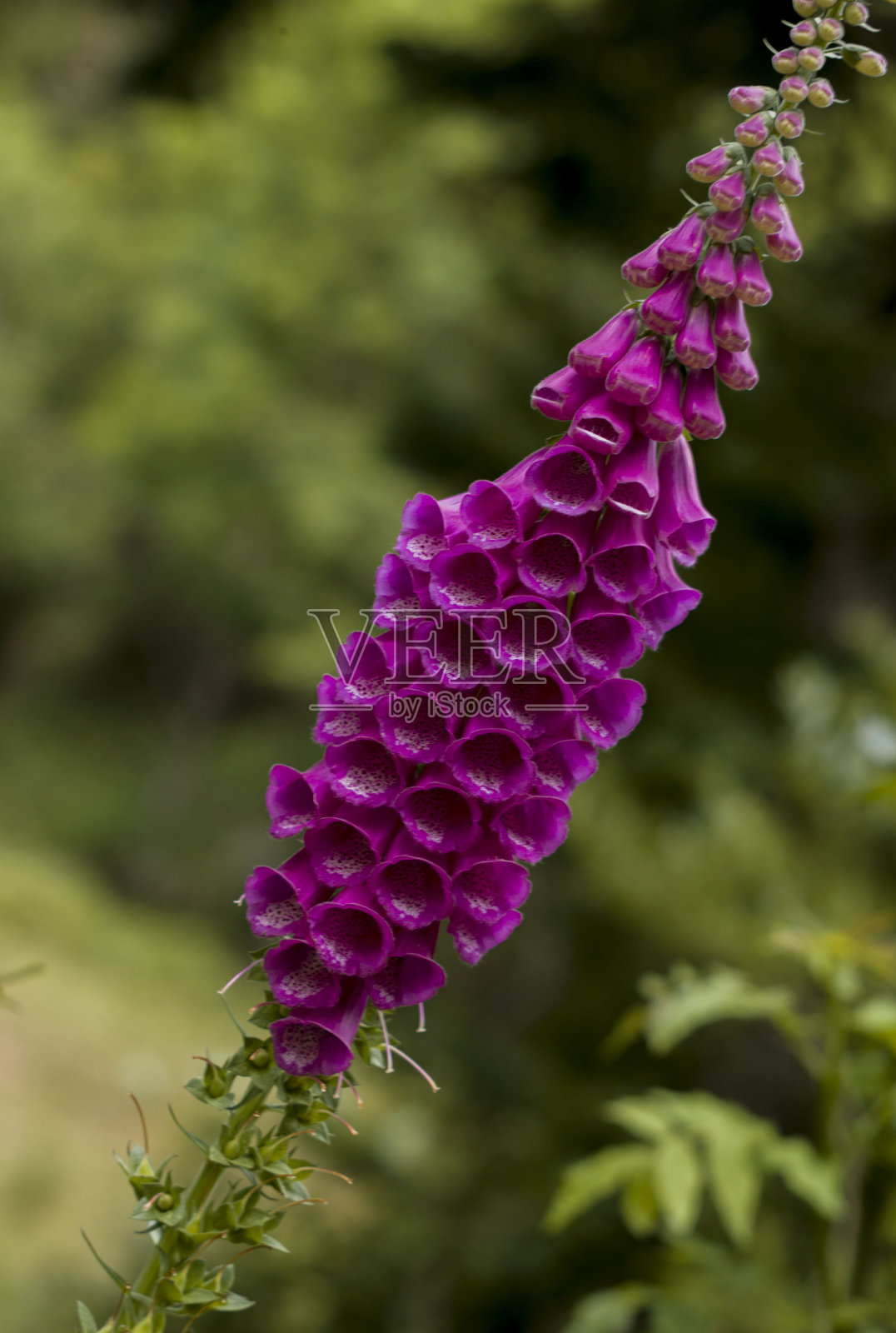 数字照片摄影图片