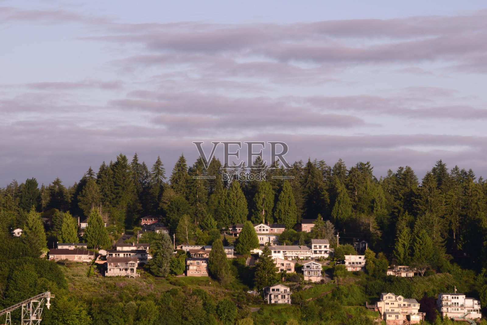 在早晨被树包围的小山上的房子照片摄影图片