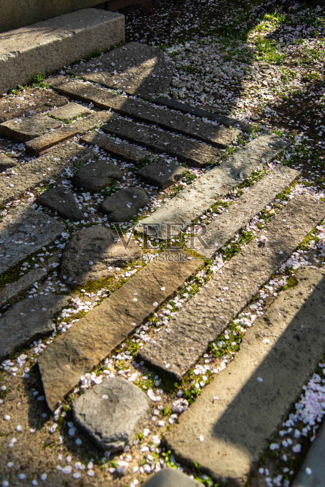 樱花花瓣堆放在石头路面上照片摄影图片
