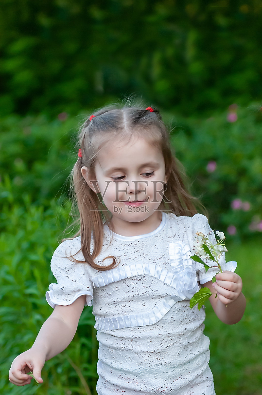 一个美丽的三岁女孩在公园里看一朵美丽的花照片摄影图片