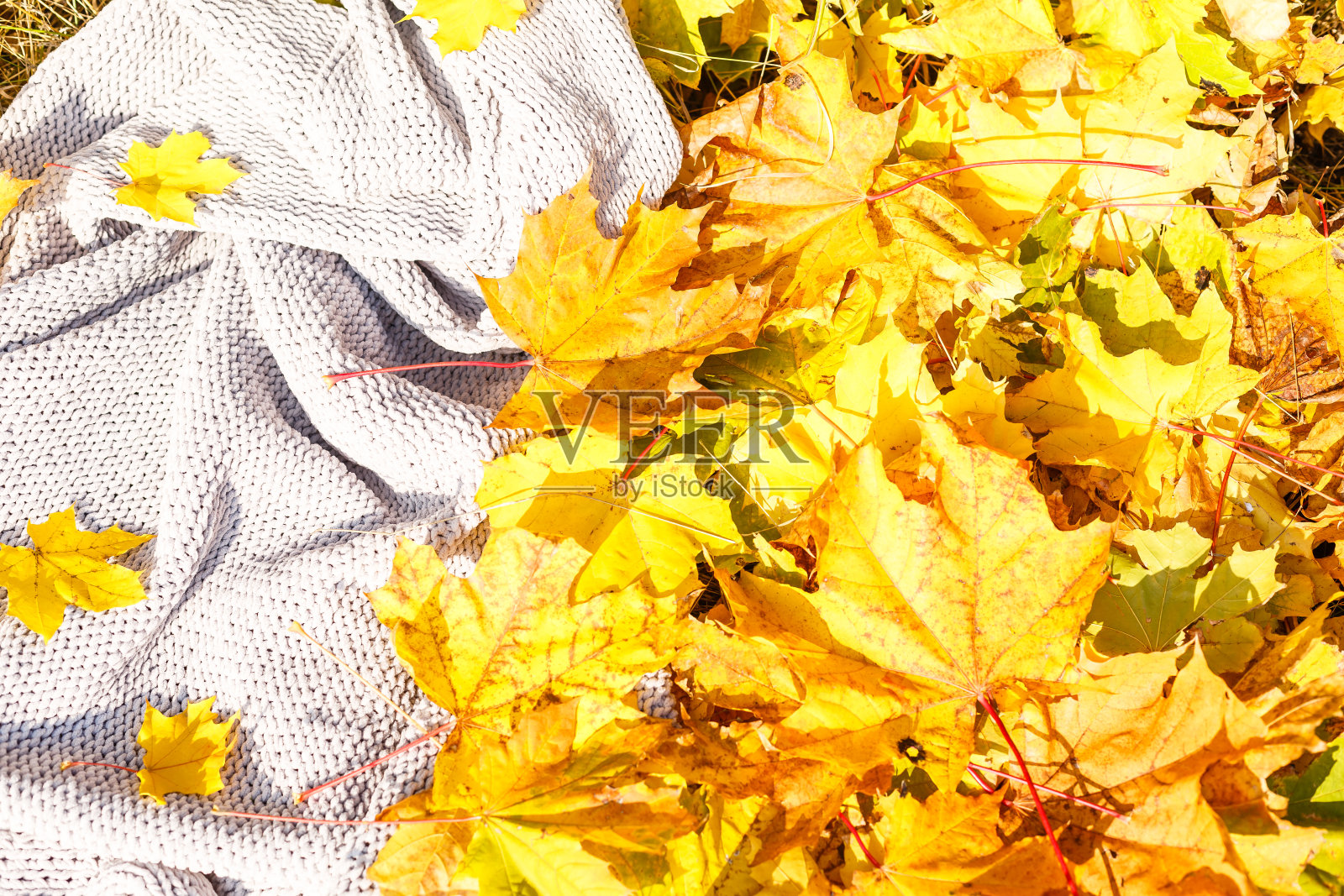 秋天的背景与黄叶和舒适的格子照片摄影图片