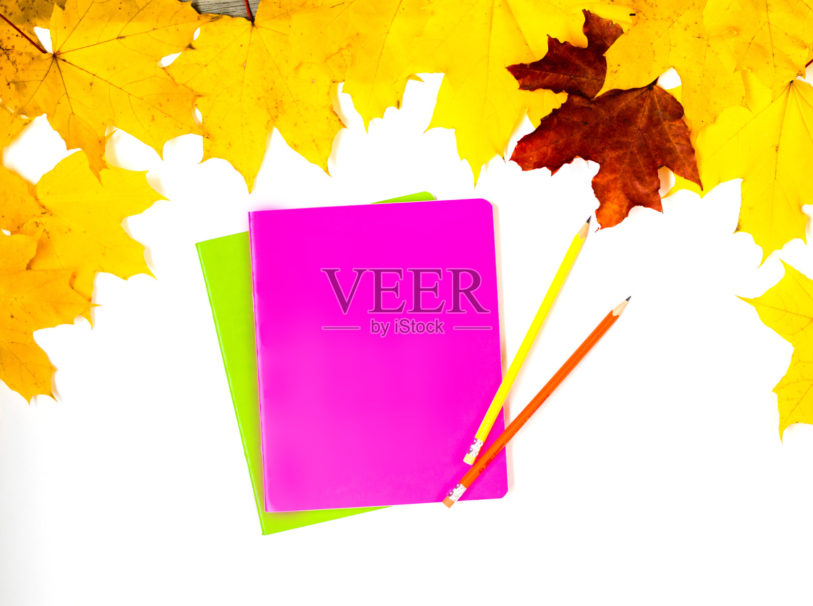 用笔记本和树叶做的秋季作文照片摄影图片