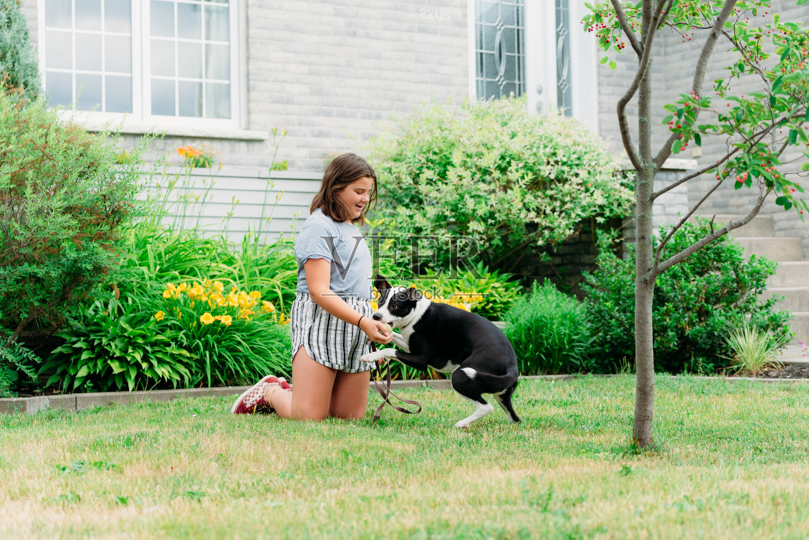一个13岁的青少年在她的房子前和她的狗玩。照片摄影图片