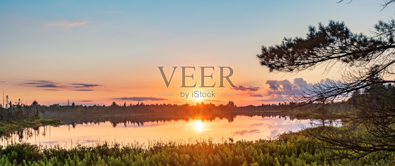 Muskoka Torrance Barrens暗天保护区和高地池塘，Gravenhurst，加拿大照片摄影图片