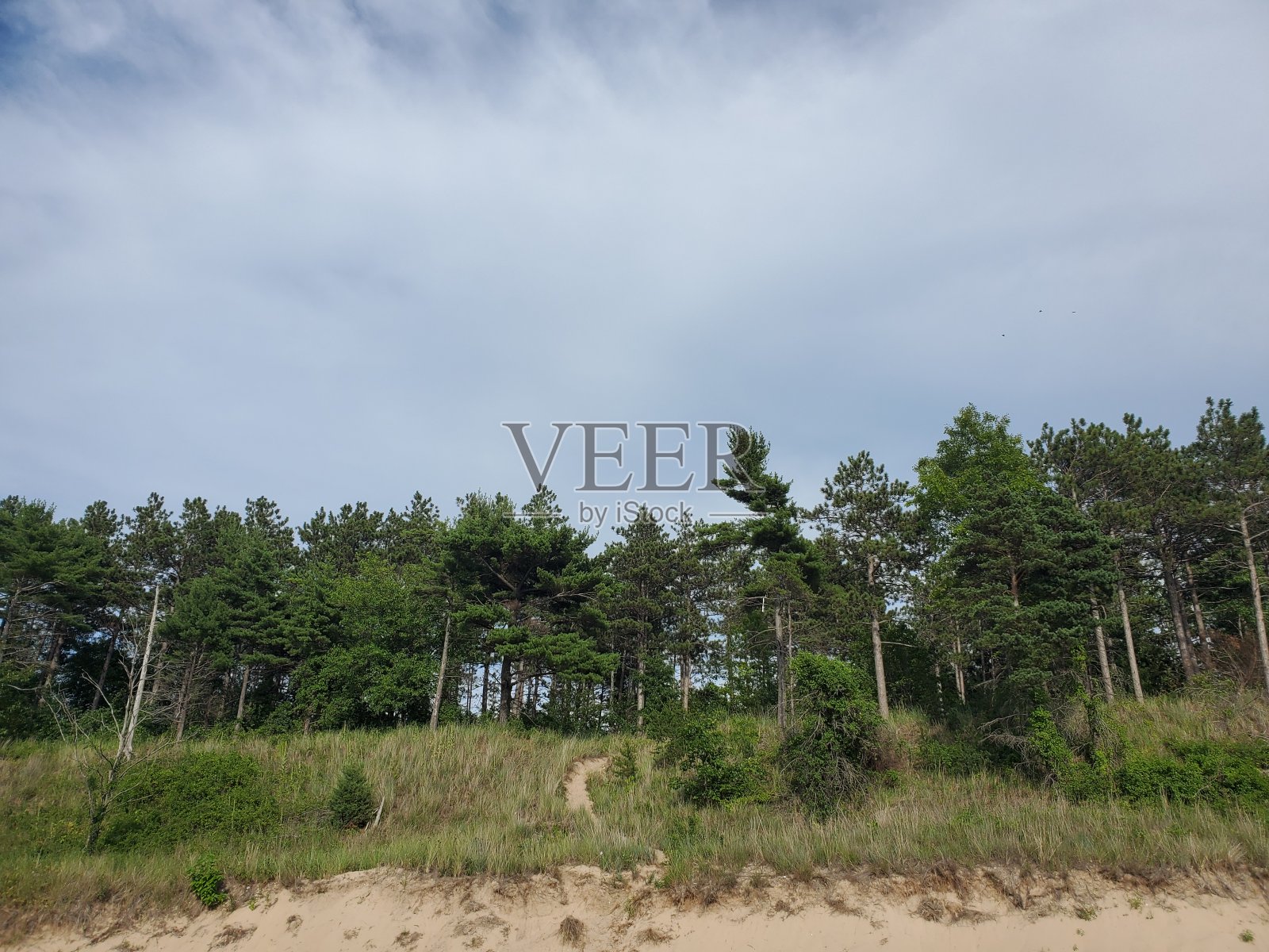 在印第安纳州，不仅仅只有玉米照片摄影图片