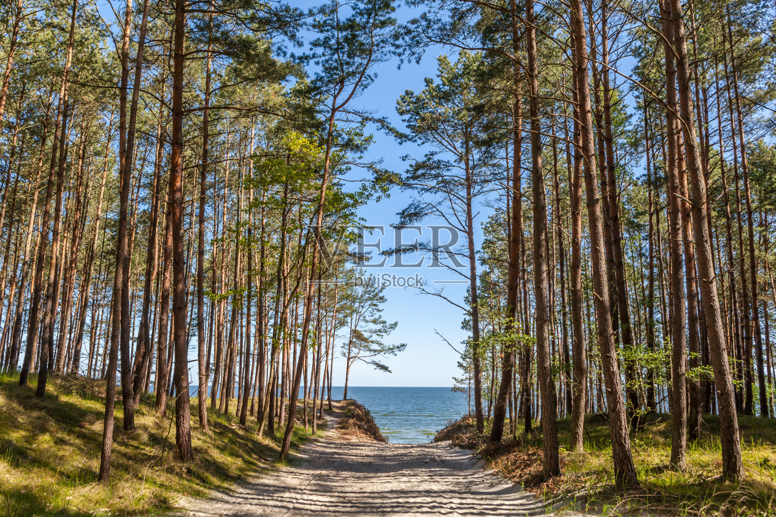 波罗的海照片摄影图片