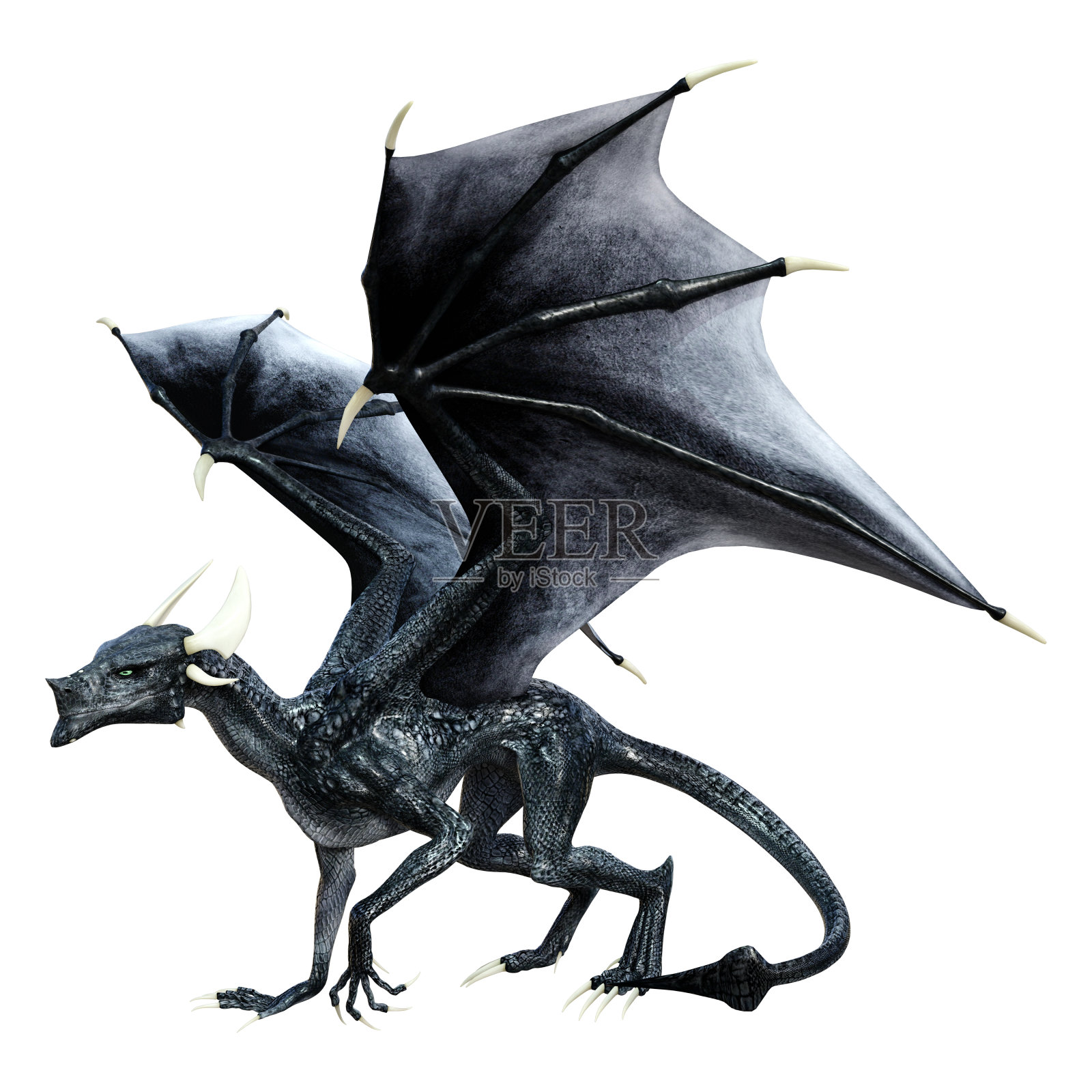 3D插图幻想龙在白色照片摄影图片