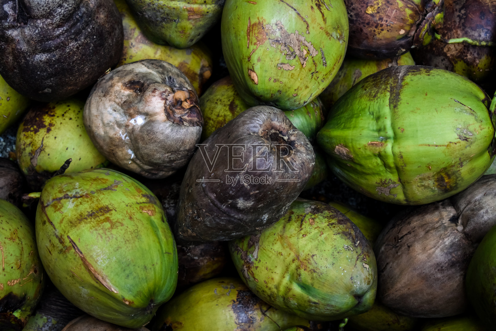 喀拉拉邦的一堆干绿椰子。图像的背景。选择性应用的关注。照片摄影图片
