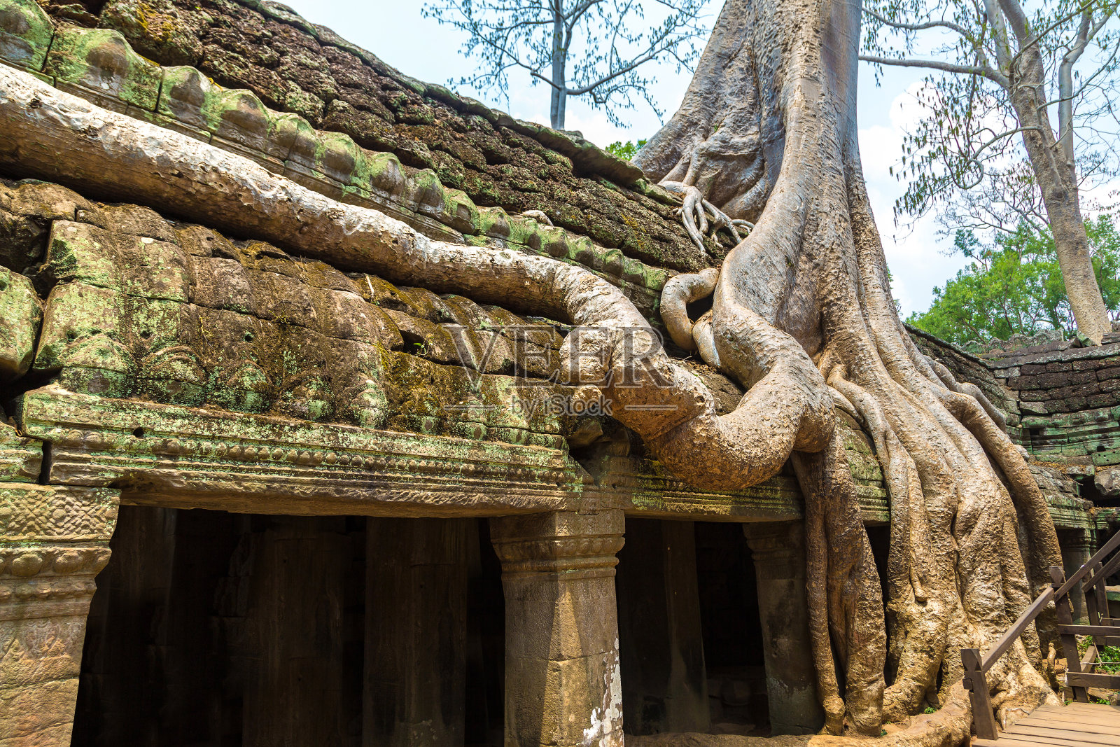 吴哥窟的Ta Prohm temple in Angkor Wat照片摄影图片