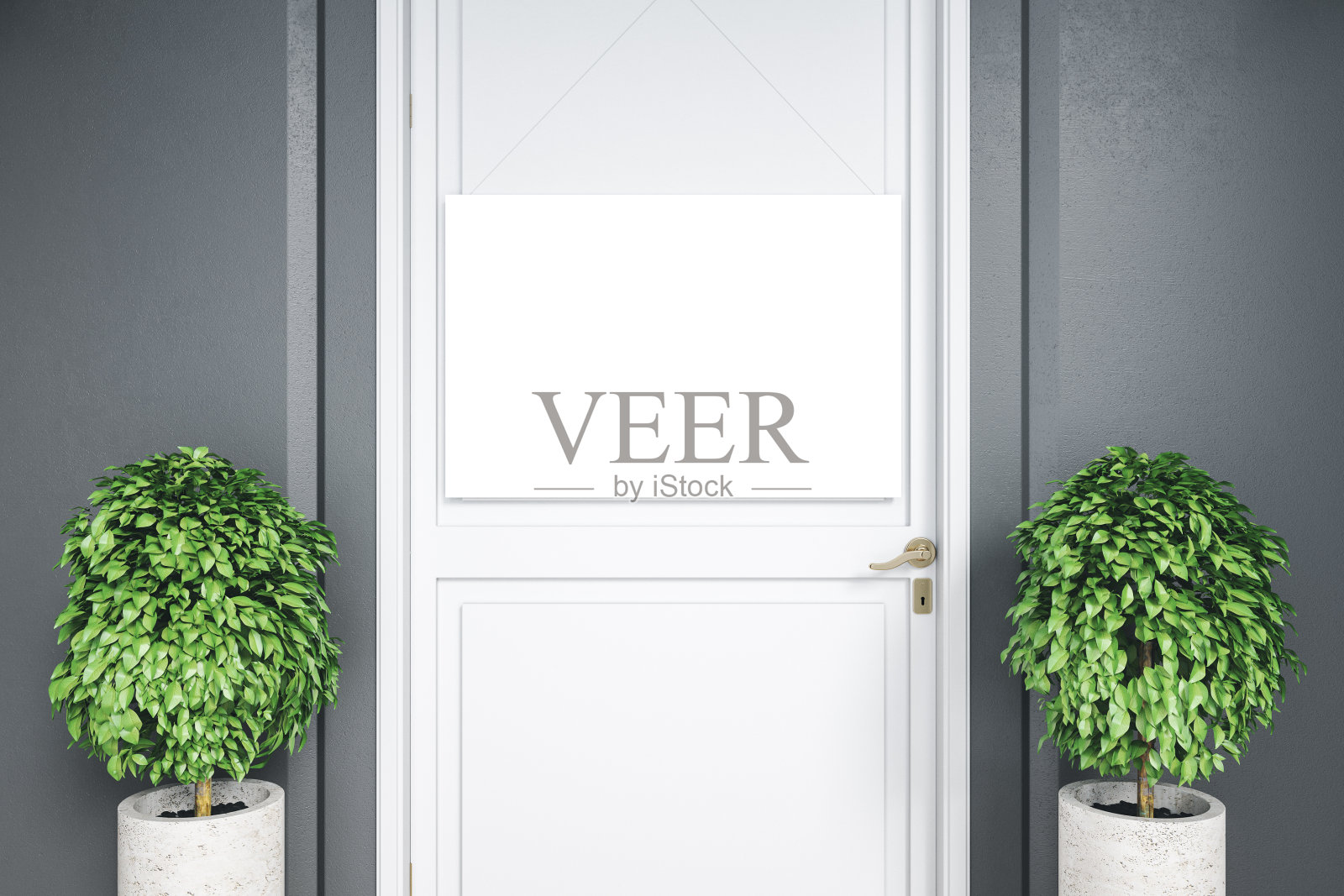 房间的白色门，空白海报和两株植物。照片摄影图片