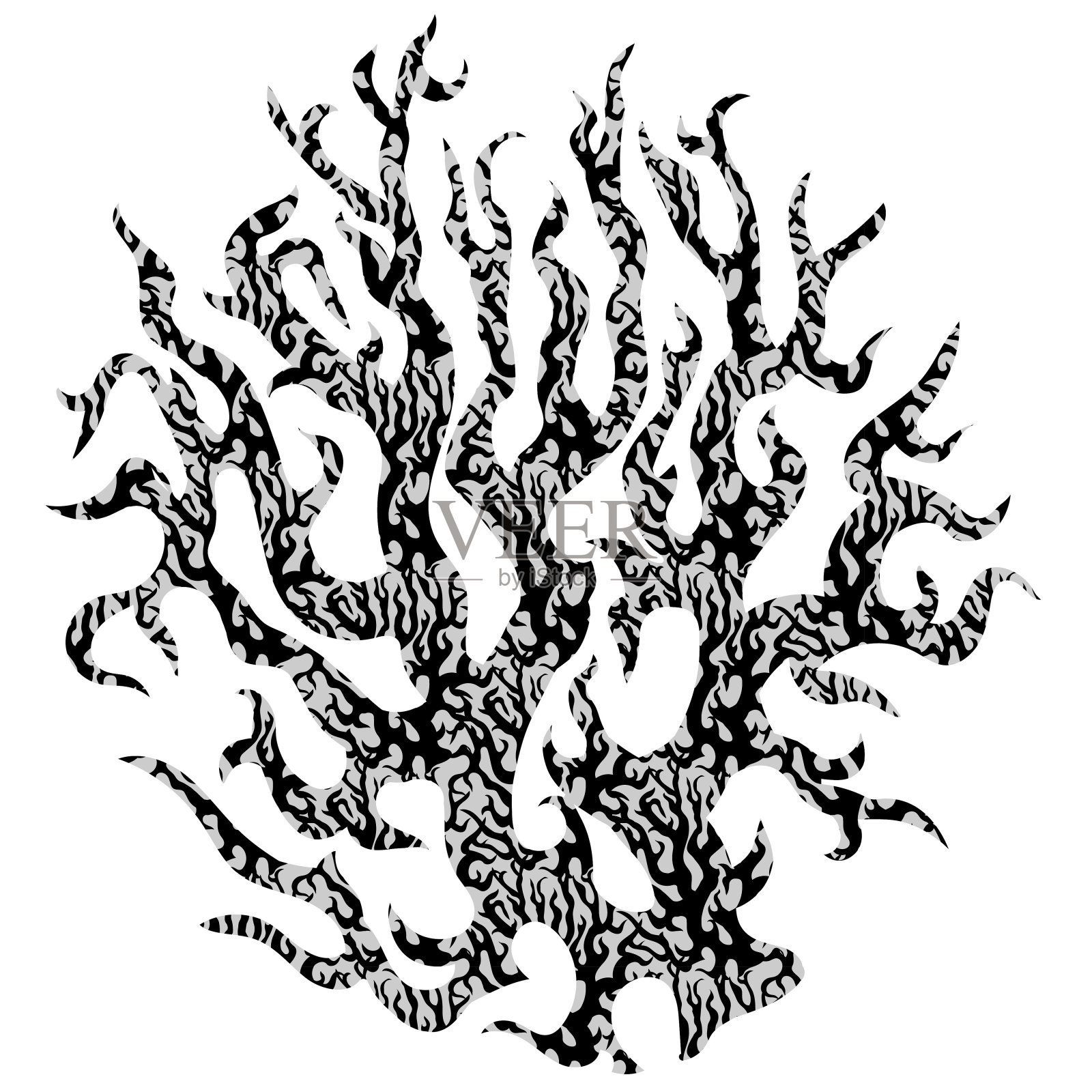 黑色和白色纹理的海珊瑚孤立在白色的背景插画图片素材