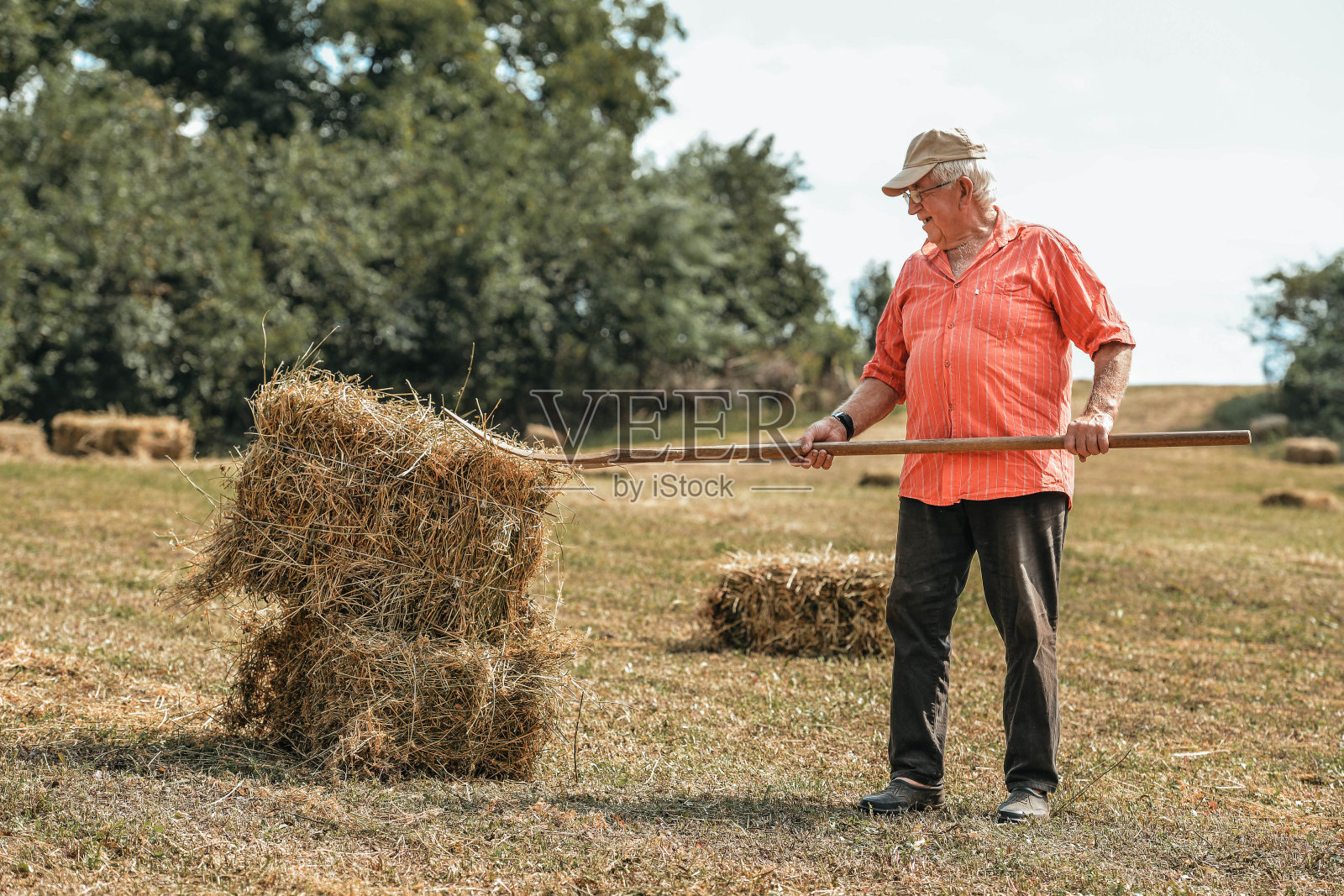 在田野里享受夏日的阳光照片摄影图片