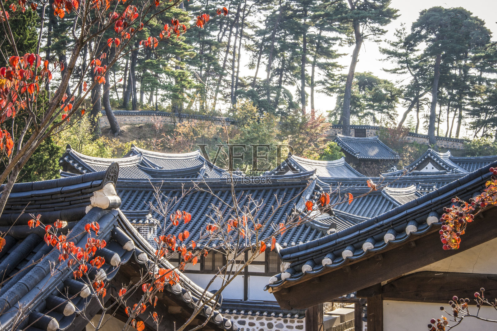 亚洲古老传统建筑的屋顶照片摄影图片