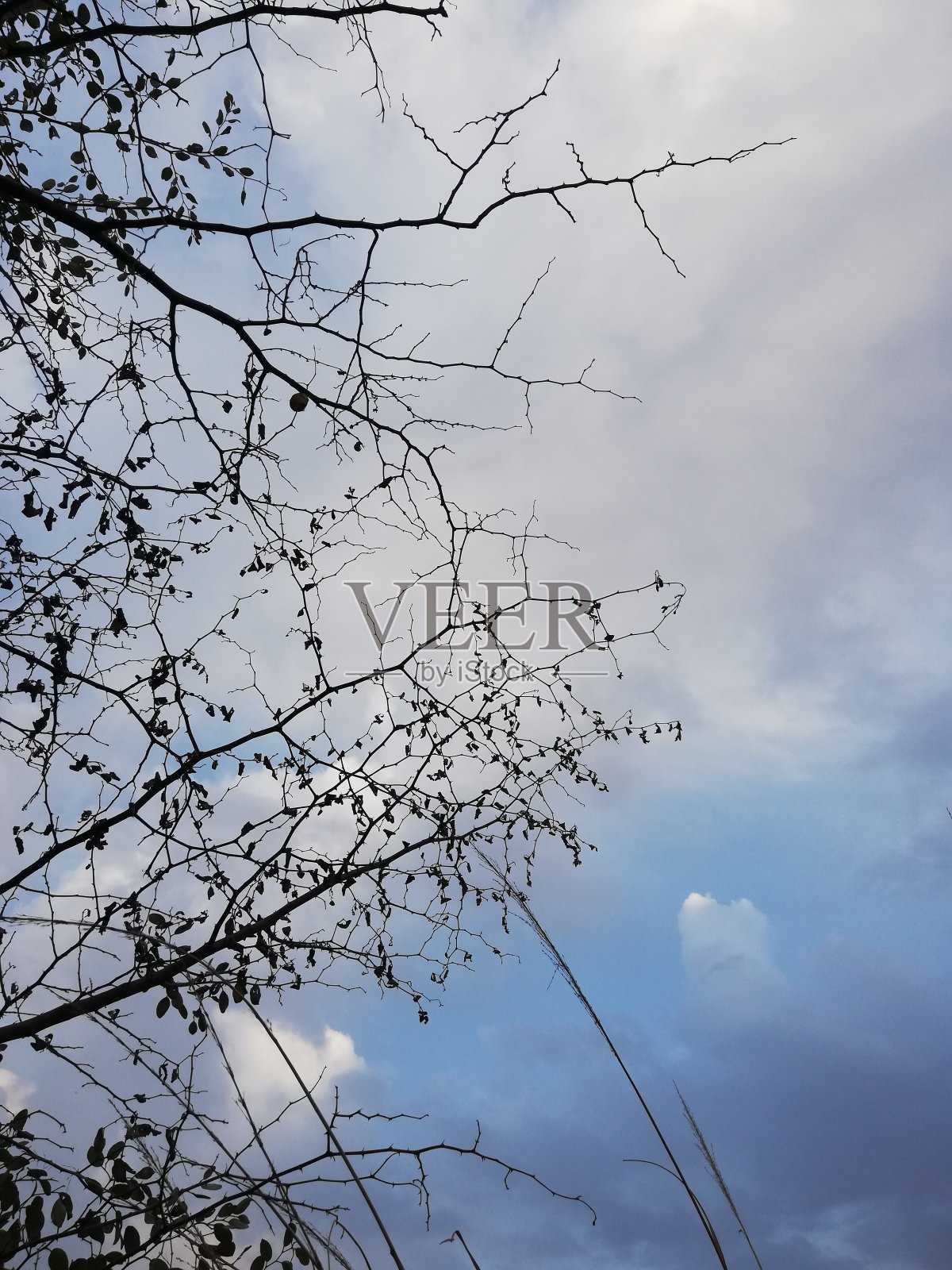 天空和云照片摄影图片