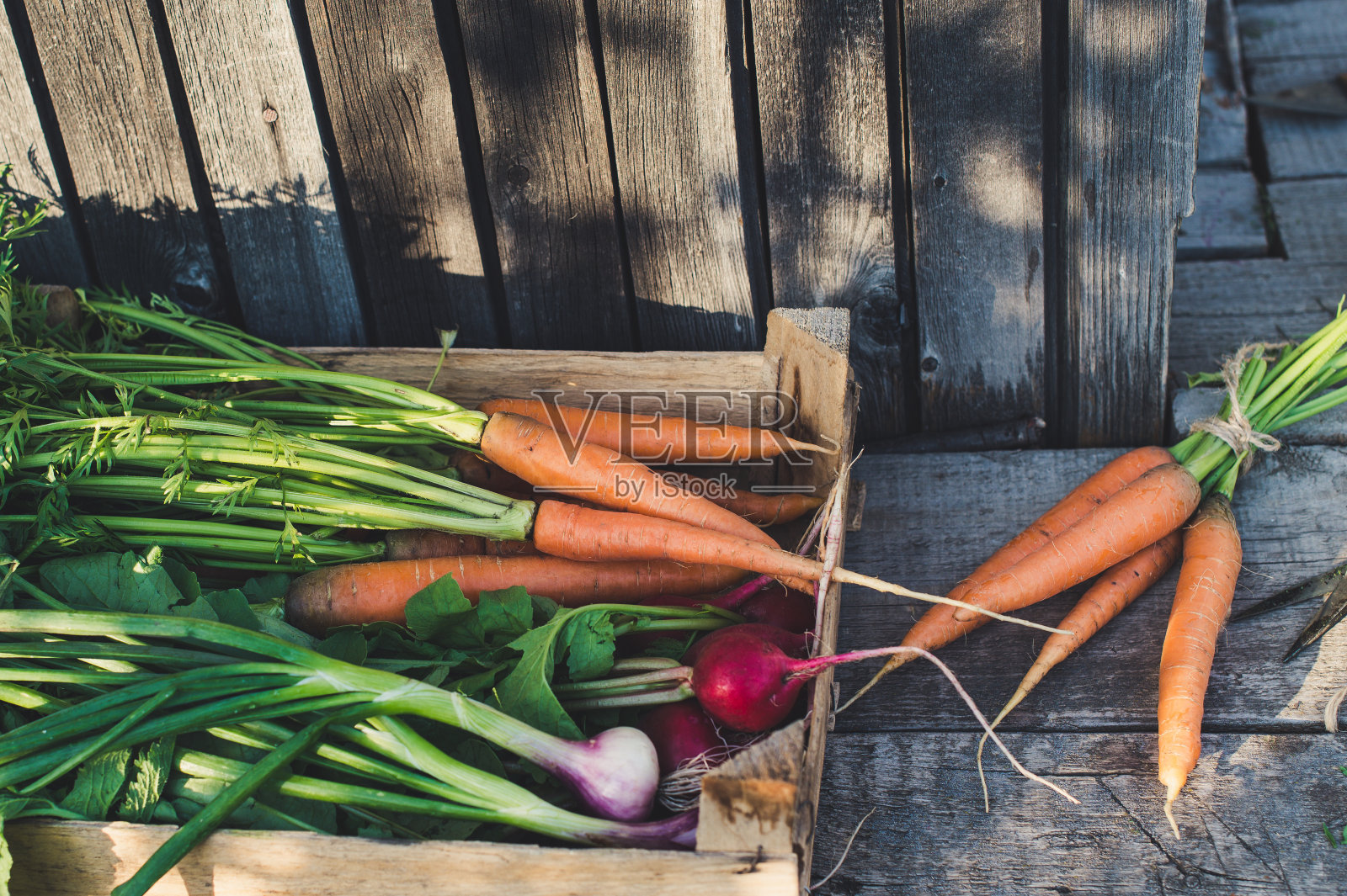木质背景上是新鲜收获的蔬菜照片摄影图片