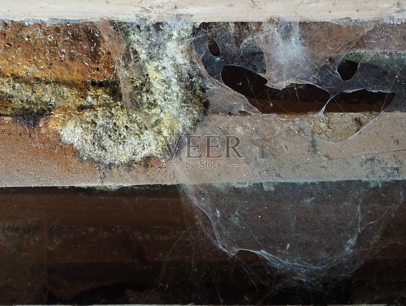 肮脏的垃圾场景与蜘蛛网，有用的万圣节背景照片摄影图片