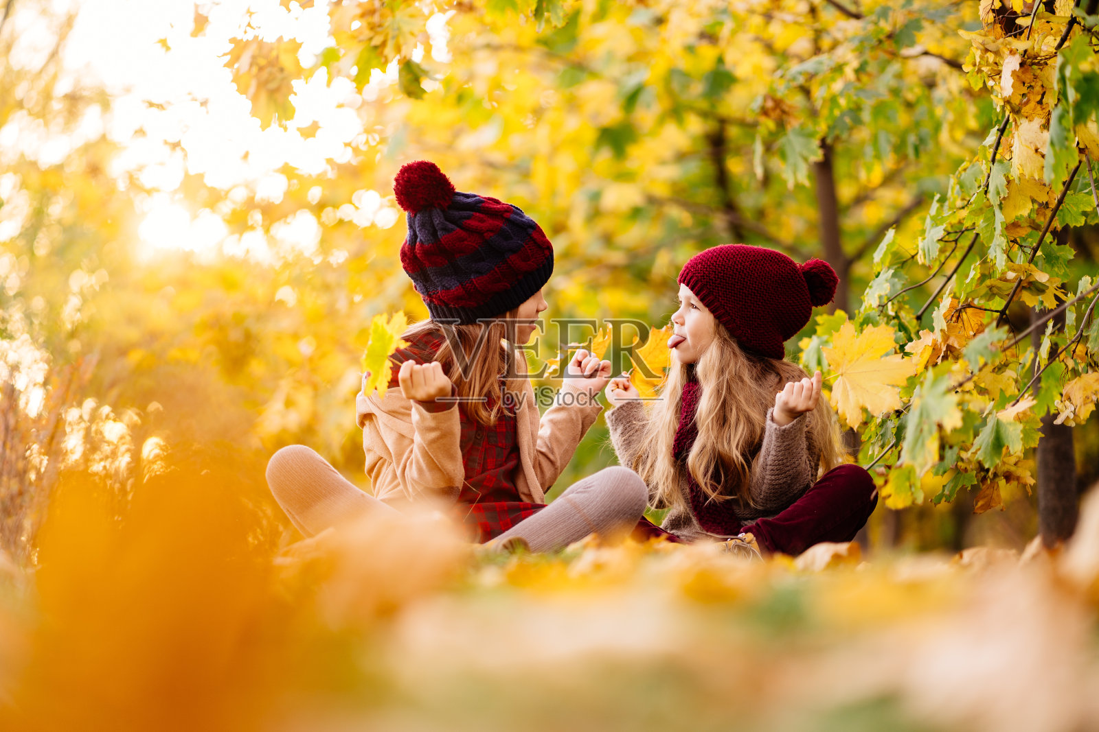 女孩们戴着帽子坐在秋天的公园里和枫叶一起玩耍，玩得很开心。照片摄影图片